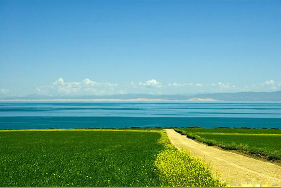 【絲路盛典】敦煌、嘉峪關(guān)、張掖、祁連、鳥島、茶卡鹽湖、青海湖、塔爾寺、蘭州7日游 